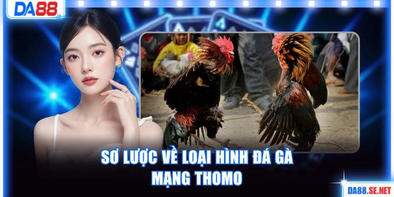 Sơ lược về loại hình đá gà mạng Thomo